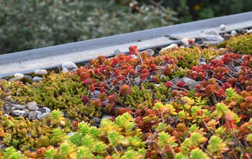 the cost of Poverest green roof installation
