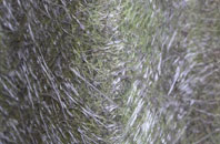 Poverest fibreglass roof work